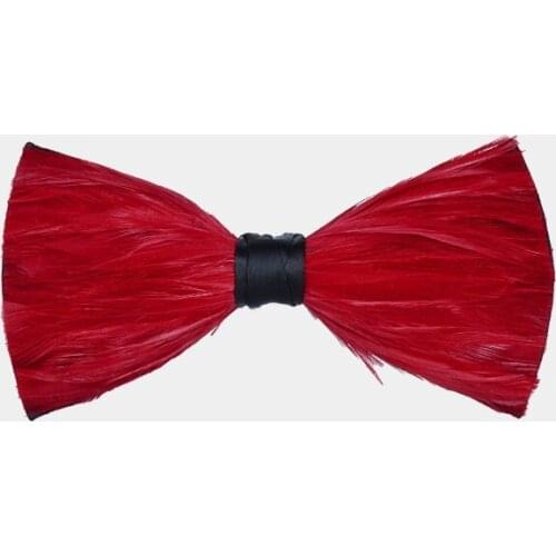 Luxury Men Nature Feather Bow Tie, Red Neck Tie, Hand Made, with Gift Box for Wedding Party Business Dress