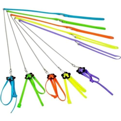 1PCS Parrot Adjustable Harness and Leash Outdoor Training Rope for Cockatoo Macaw Ringneck Parakeet Cockatiel Small Size Birds