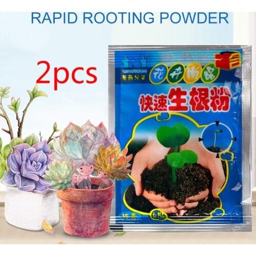 2*Flower seeds Bonsai plant seeds semillas семена растений Plant Growth Aid Fertilizer Transplant Hormone Regulator Garden tool