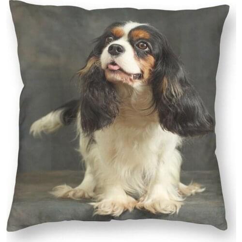 Cool Cavalier King Charles Spaniel Square Throw Pillow Cover Decoration 3D Printed Dog Animal Cushion Cover for Living Room