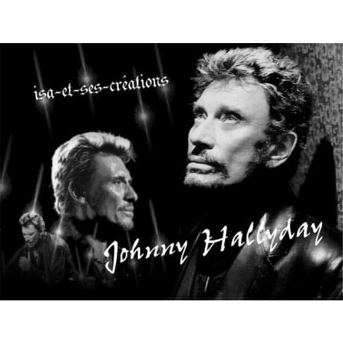 Johnny Hallyday Printed Canvas 11CT Cross Stitch Full Kit Embroidery DMC Threads Handicraft Handiwork Painting Handmade Gift