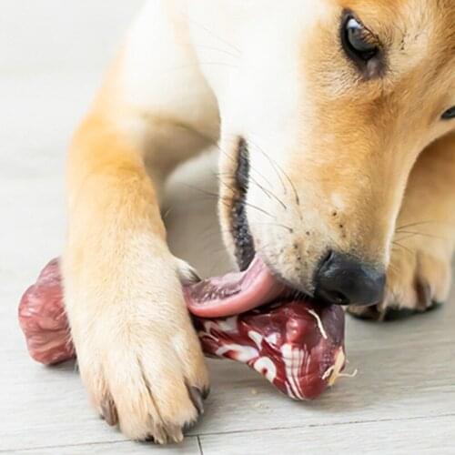 Pet Interactive Dog Bone Teething Stick Puppy Bite Resistant Bone Toy Dogs Chewing Toys Home Pets Relieving Boredom Dog Supplies