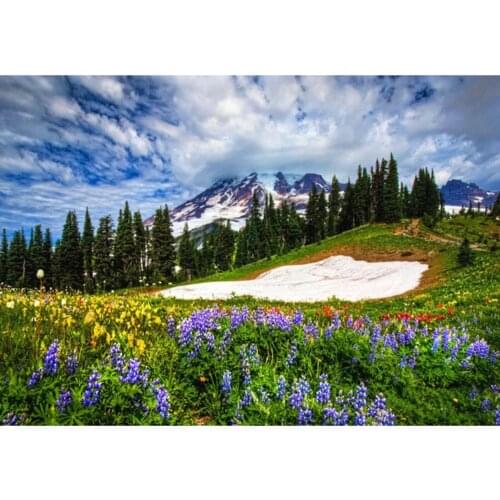 Flower Landscape DIY 11CT Embroidery Cross Stitch Kits Craft Needlework Printed Canvas Cotton Thread Home Decoration Wholesale