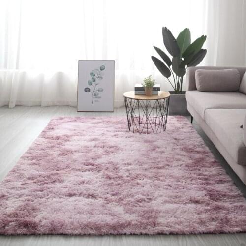 Orins living room carpet bedroom full room tea table under bed Plush net red bedside Girl Blanket floor mat