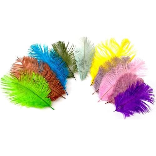10pcs Various Natural Ostrich Feather 15-20cm Fluffy Ostrich Feathers for Craft Wedding Dress Home Decoration Plumes Fabric