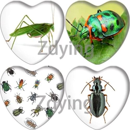 Zdying 10pcs Insect Bugs Pattern Heart Shape Glass Cabochon Photo Beads Cameo Charm Settings DIY Jewelry Findings