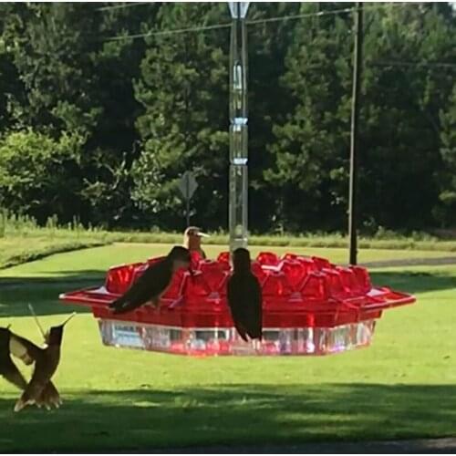 Hummingbird Feeder - Easy To Clean, Best Hummingbird Feeder For Outdoor Hanging Patio Garden Decoration, Deck, Patio
