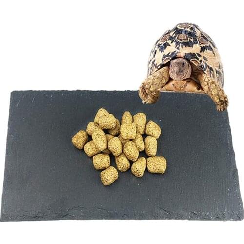Pet Tortoise Feeding Dish, Natural Rock Reptile Food Bowl Landscape Habitat Decor for Turtle Lizard Bearded Dragon Crested Gecko