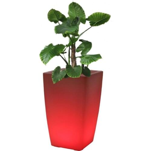 2021 hot seller Square green plastic planter for gardening supplies planting pots for vegetables