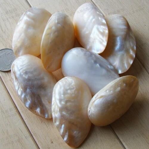 Natural pearl shell shellfish samples conch shells floor home decoration