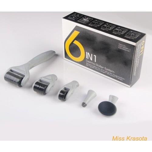New 6 in 1 micro needle derma roller set Eye Face Body Skin Meso Beauty Dermaroller Kit