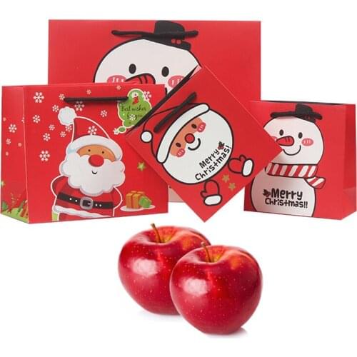 3 Size Multifuntion christmas gift bags large Festival christmas paper bag with Handle 30X26X12CM Santa sack christmas gift box