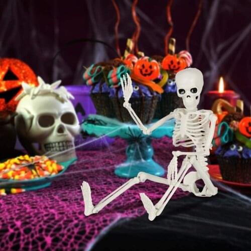 People Active Model Skeleto Anatomy Skeleton Skeleton Model Medical Learning Halloween Party Decoration Skeleton Art Sketch
