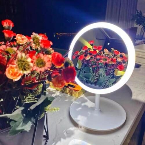 Portable Led Light Makeup Mirror Chargeable Adjustable TableDesk Storage Cosmetic Mirror Touch Dimmer Vanity Magnifying Mirror