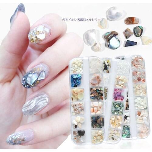 12 Grids Nail Art Abalone Shell Irregular Fragment 3D Charm Decoration Slice DIY Beauty Nail Decals For UV Gel Acrylic Nails