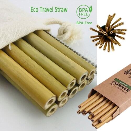 Natural Bamboo Travel Straws Reusable Organic Drinking Straws+1 Straw Cleaner Brush For Party Birthday Wedding