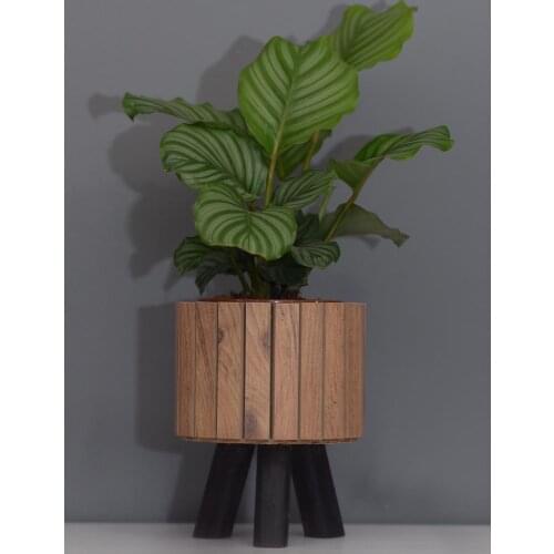 TAURUS TR Products For The Garden And Vegetable Garden