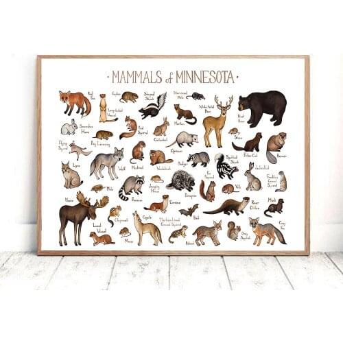 Minnesota Mammals Field Guide Poster Animal Wall Art Canvas Nursery Print Painting Nordic Kid Baby Room Decoration Picture