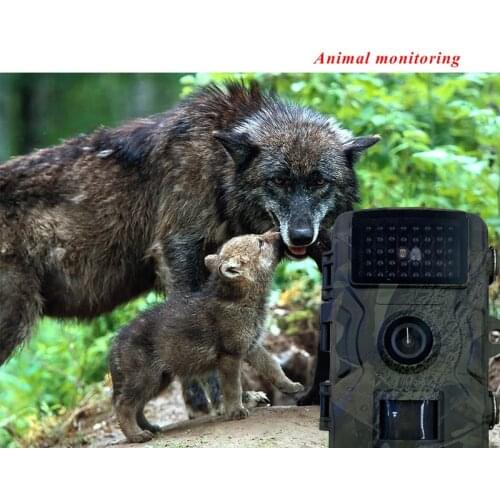 New DL001 Outdoor Hunting Camera 1080P Wild Animal Detector Trail Camera Waterproof Monitoring Infrared Heat Sensor Night View