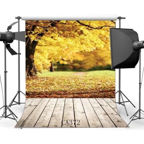 Photography Backdrop Rural Forest Autumn Fall Leaves Vintage Stripes Wood Floor Seamless Background Studio Prop CA372