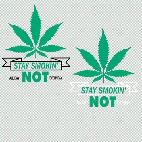 Green Maple Leaves Heat Transfer Pyrography for DIY T-shirt Jacket Iron on A-level Patch Decor Printing Badge Appliques