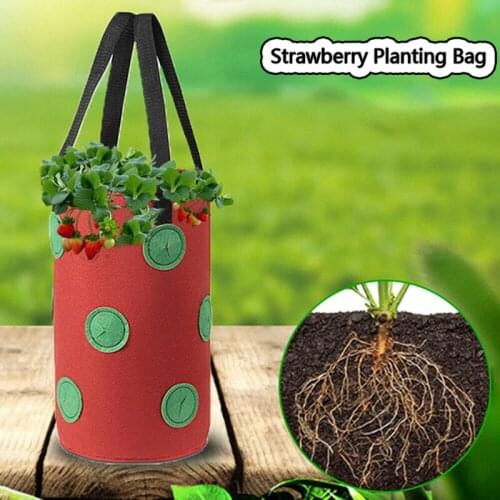 Strawberry Planting Bag Multi-port Strawberry Bag Hanging 12 Hole Gallon Non-woven Plant Hanging Bag Flower Herb Bags Dropship