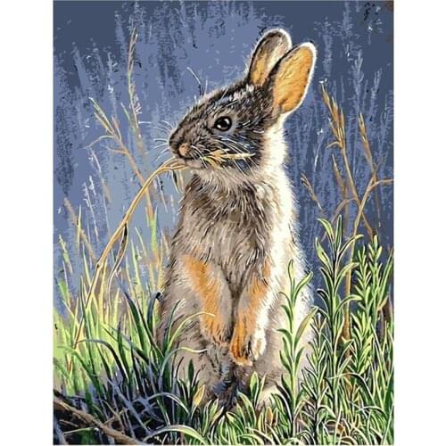 "Animal rabbit"Diamond Painting Cross Stitch Full Square drill Rhinestone painting Diamond Mosaic pictures Diamond Embroidery