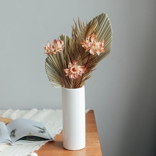 Natural Dried Palm Leaf Fan Plant DIY Party Art Wall Hanging Decoration Home Display Elegant Arrangement Wedding Marriage Decor