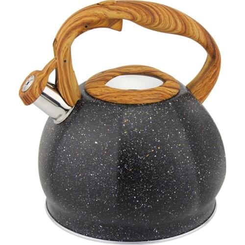 Marble coating kettle stainless steel whistling kettle