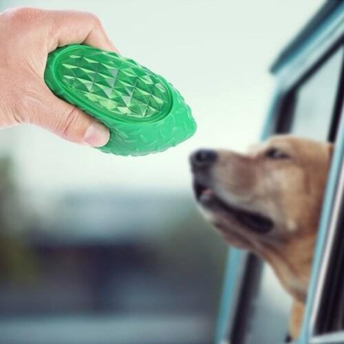 Pet Dog Interactive Squeak Ball Toys with Light Pet Training Elastic Ball Toy Puppy Durable Chew Play Ball Pet Dog Toys Supplies