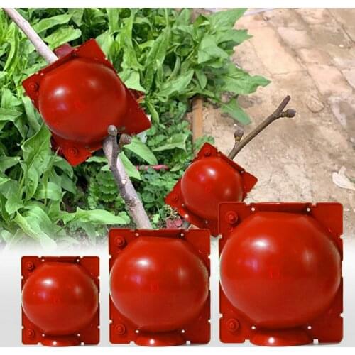 5pcs Plant Rooting Ball Grafting Rooting Growing Box Breeding Case For Garden Plant high-pressure Propagation Box Sapling