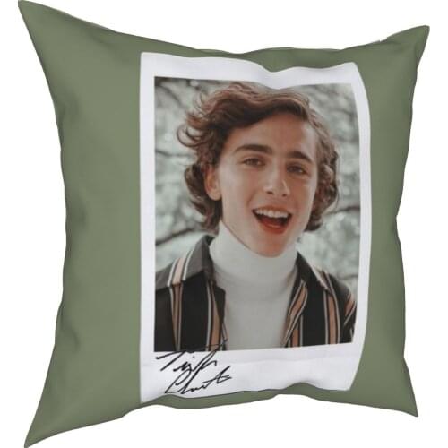 Timothee Chalamet Pillow Cases Little Women Timmy CMBYN Elio Cushion Cover Decor Throw Pillow Case Cover for Home 40x40cm