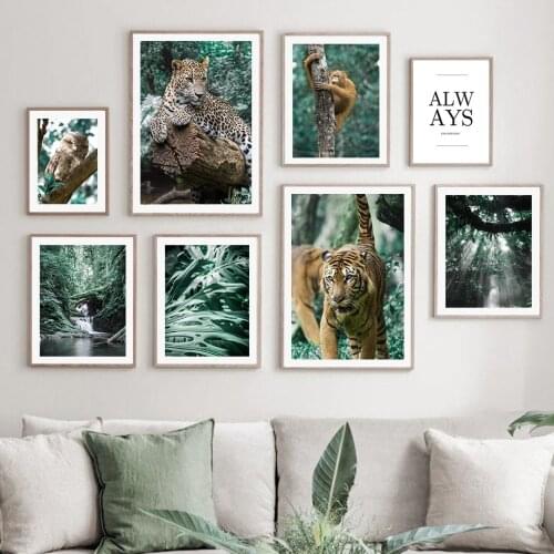 Jungle Monstera Tiger Leopard Orangutan Wall Art Canvas Painting Nordic Posters And Prints Wall Pictures For Living Room Decor