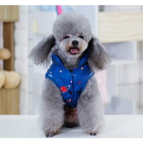 Pet Autumn Winter Warm Vest Coat for Small Medium Dogs Puppy down Jacket dog clothe Cosmic Landscape