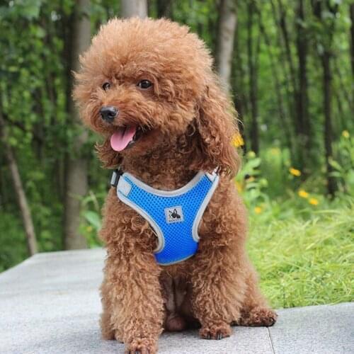 Summer Pet Puppies Reflective Dog Cat Vest Dog Soft Chest Strap Pets Accessories Breathable Mesh Dog Harness Puppy Dog Supplies