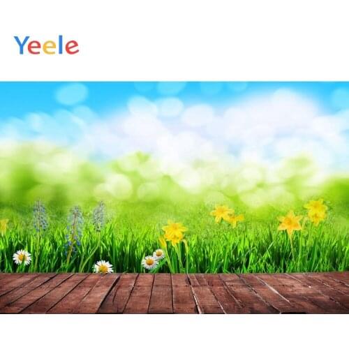 Spring Flower Grassland Wood Board Floor Baby Portrait Backdrop Vinyl Photography Background For Photo Studio Photophone Shoot