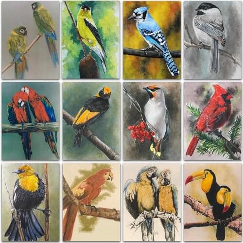 5D Diamond Painting Kit Paint Animal Little bird owl Full Square&Round Diamond embroidery Cross stitch Diamond mosaic home decor