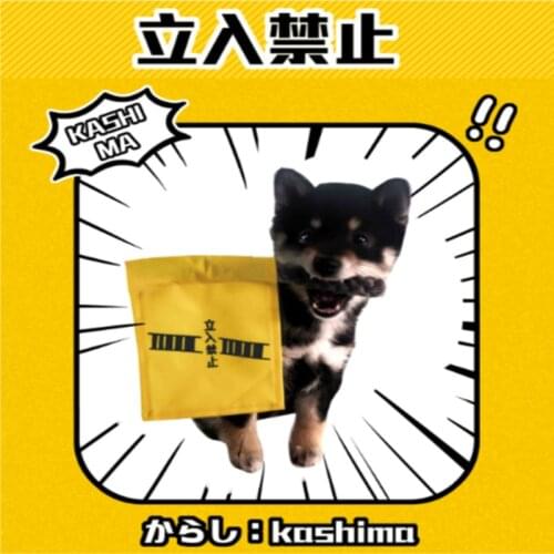 Stop coming Dog Bite Rope Toys Pets Dogs Supplies Pet Dog Puppy Cotton Chew Knot Toy Durable Cleaning tooth Rope Funny Tool