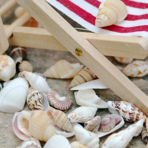 Small 40Pcs Beach Mixed Sea Shell Real Sea Shell Mix Sea Shell Starfishes Shells Craft SeaShell Aquarium Decal Decor Crafts