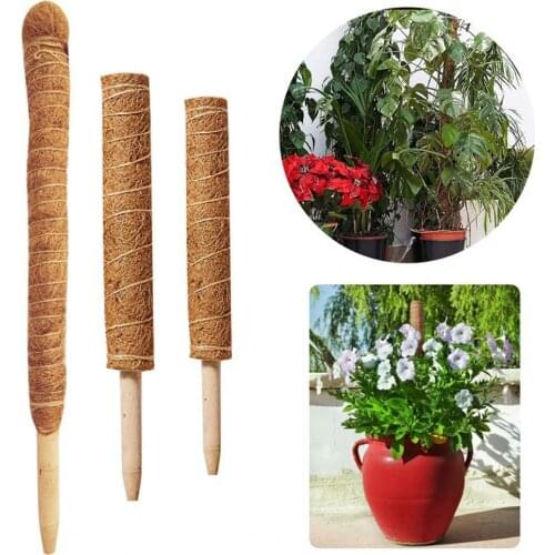 Plant Support Pole Stackable Durable Wooden Coir Moss Totem Pole for Indoor Plant Creeper Plant Support Plant Fiber Pole
