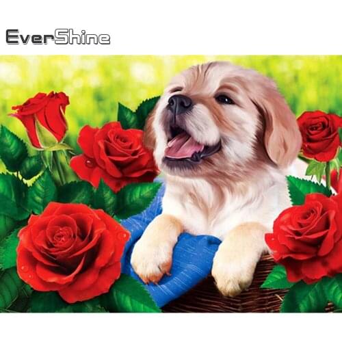 Evershine 5D DIY Diamond Painting Animal Full Square Round Diamond Embroidery Dog Cross Stitch Rose Mosaic Kits Sale Home Decor