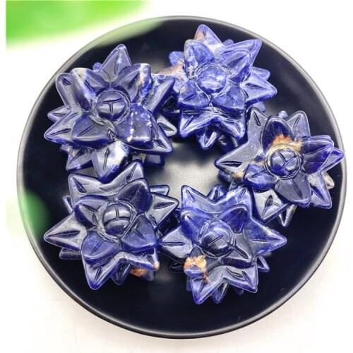 Natural Blue Sodalite Stone Succulent Plant Flower Figurine Crystal Hand Carved Decor Gift Natural Stones and Minerals