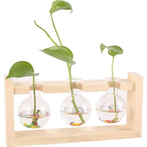 Hydroponic Vase Borosilicate Glass 3 Style Micro Hydroponics Bracket Hydroponic Vase Beautiful Transparent Vase Office Sturdy