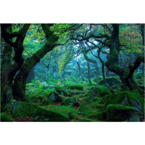 3*5ft Green Jungle Forest Photography Backdrop Studio Props Photo Background