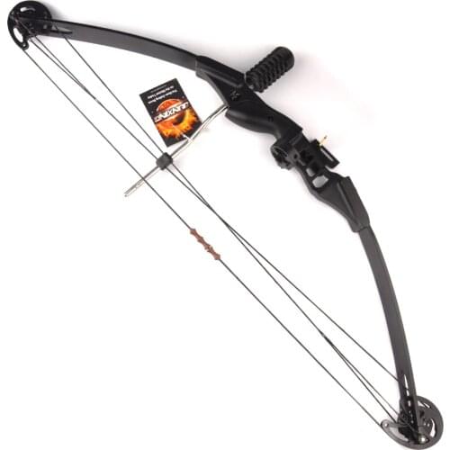 30-40 LBS Compound Bow Right Hand Adjustable Bow Set for Outdoor Hunting Shooting Fishing Target Practice