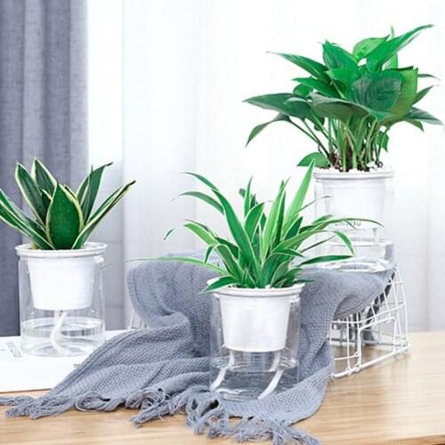 Auto Irrigate Flower Pot Vase Clear Automatic Water Absorption Self Watering Hydroponic Flower Pot Planter Lazy Planting Pots