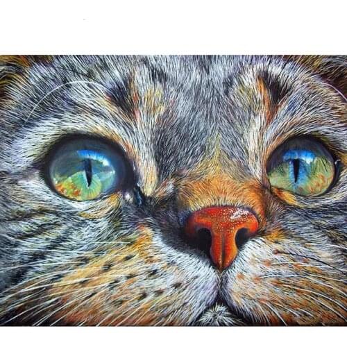 Cat face Diamond Painting Kit - DIY