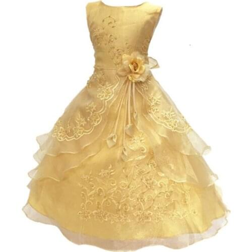 New Flower Girls Party Dress Embroidered Formal Bridesmaid Wedding Girl Christmas Princess Ball Gown Kids Vestido DS49