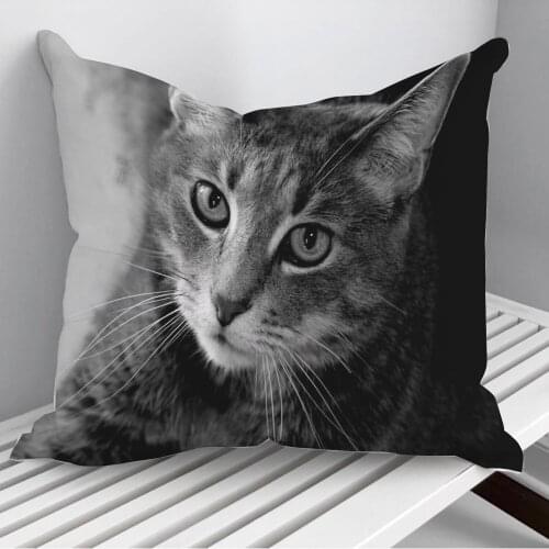Aspiring Feline Throw Pillows Cushion Cover On Sofa Home Decor 45*45cm 40*40cm Gift Pillowcase Cojines Dropshipping