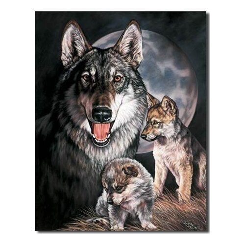 Wolf Experience Tin Sign Retro Wall Decor for Home Bar Bedroom Cafe Pub Outdoor